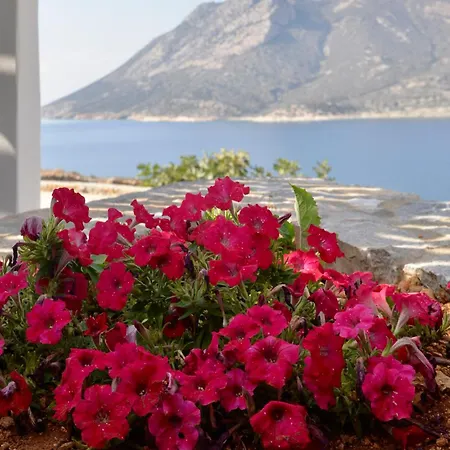 Värdshus Amorgos Delight *