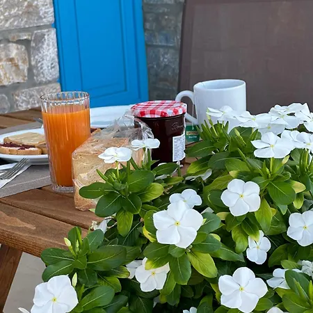 Värdshus Amorgos Delight *