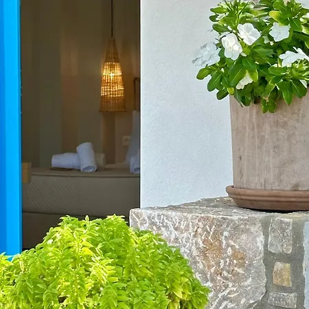Amorgos Delight * Aegiali
